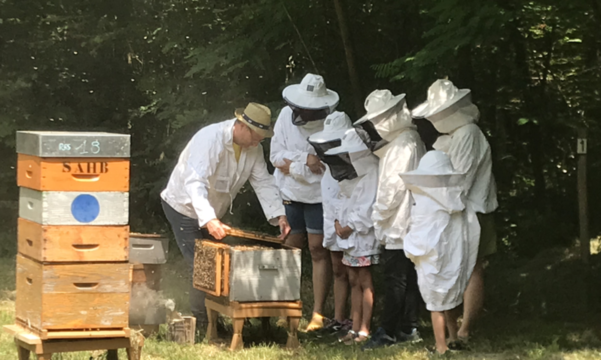 fonds dotation abeilles